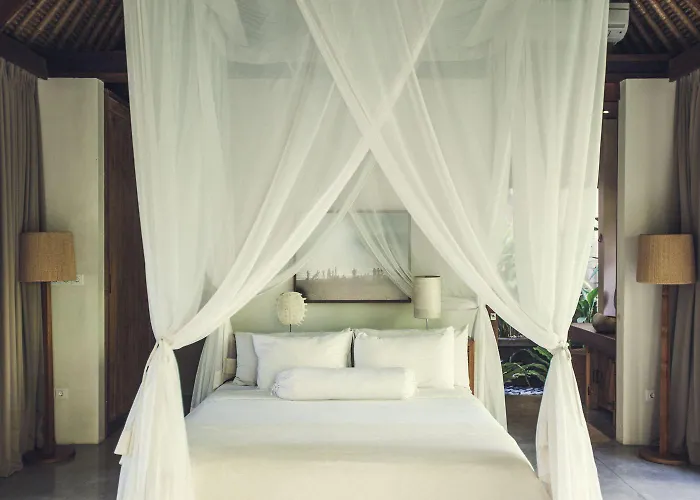 Hotel Reddoor Bali Canggu (Bali)