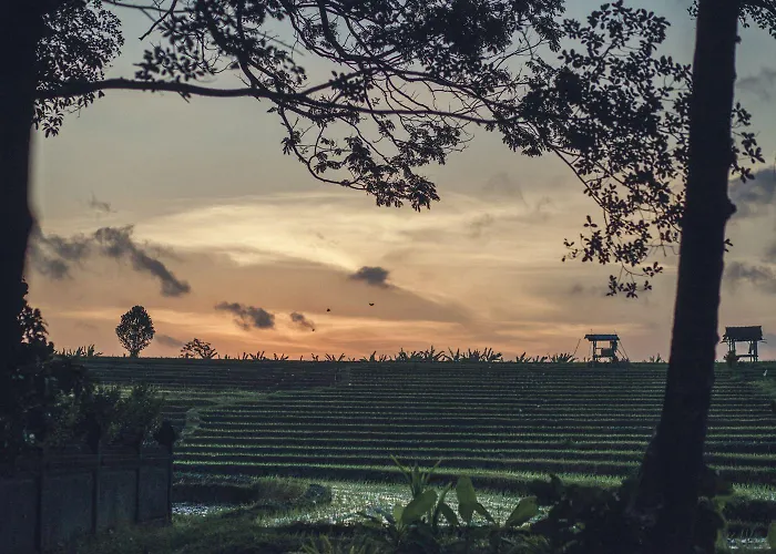 Reddoor Bali Hotel